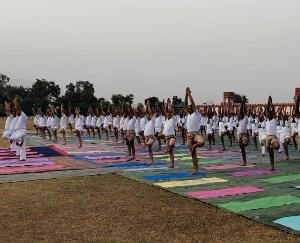 Yoga Day will be celebrated at 26 places in Kangra