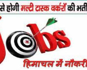 On July 1st in Chadhiyar, the original letters of the multi task worker will be investigated