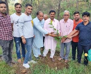 dehra news 2 update himachal pradesh kangra 