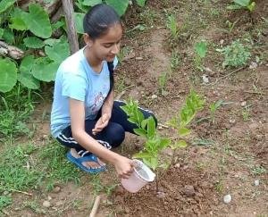 Mohal School Blantier students planted about 251 medicinal plants