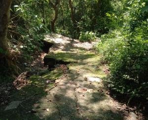 Panchayat spent lakhs without making a road, disclosed in RTI