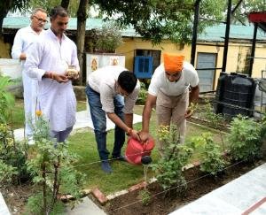 Nursery of medicinal plants will be developed in each development block- Dr. Nipun Jindal