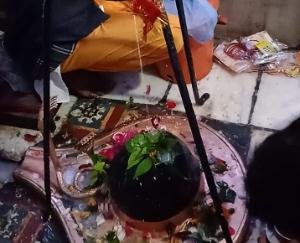 Kunjeshwar Mahadev Temple of Lord Shiva is known from Kujwa place