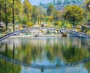 Toy train will start for tourists in Saurabh Van Vihar