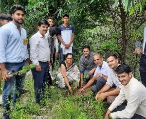 Students planted saplings for development in Palampur on Kargil Day