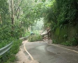 Torrential rains disrupted life in Kangra