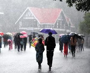 Rain continues in the state, yellow alert of heavy rain till August 3