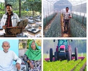 Double engine government's welfare schemes changed the picture of Himachal