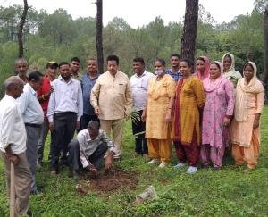  Former MLA Surendra Kaku planted saplings in Daulatpur