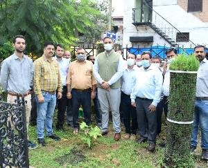 Plantation is necessary for environmental balance - SDM