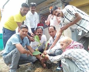 Plantation done in Chayat Dhasoli on the occasion of Hariyali festival