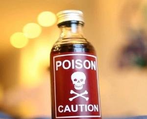 kangra news update crime news himachal pradesh 5 august 2022