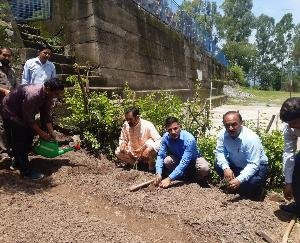 Construction of Ayush Vatika in Chandi Arki School