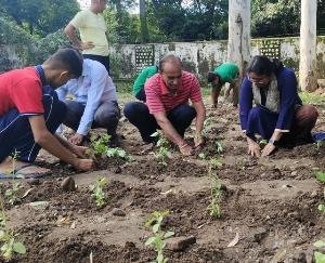Department of AYUSH provided Ayurvedic plants to Kendriya Vidyalaya Naleti