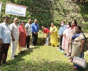 Plantation done by Municipal Council Kangra under Van Mahotsav