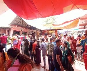 Flood of faith gathered in Nag temple Ranital