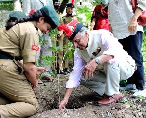 SOLAN :पाइनग्रोव स्कूल धर्मपुर में SOLAN :पाइनग्रोव स्कूल धर्मपुर में पौधरोपण अभियान का किया गया आयोजन  अभियान का किया गया आयोजन 