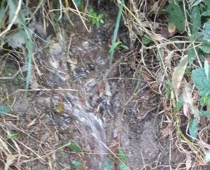 पानी की पाइप से लगातार हजारो लीटर व्यर्थ बह रहा पानी