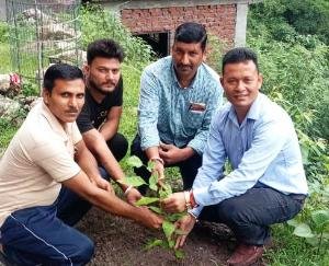 Congressmen planted saplings in Shiv Mandir Baga