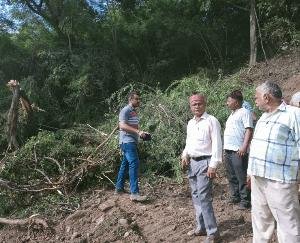 Baddi: Lumberdar accused the contractor of the company building the National Highway for breaking trees