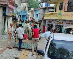 11-year-old girl from Banudi dies of snakebite