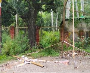  banners of Chief Minister Jai Ram Thakur were torn by mischievous elements during the night.