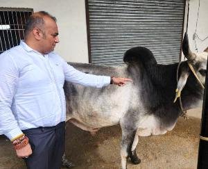 Government and society should come forward to prevent lumpy virus- Sumit Singla