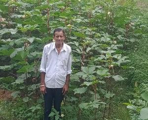 Earned lakhs by growing vegetables - Kamal Chand