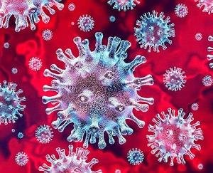 The war against Corona continues in India