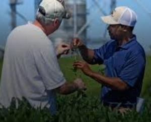 Promotion gift to 112 agricultural extension officers