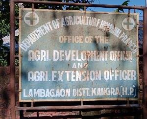  Another cow dies of lumpi disease in Lambagaon