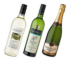 घर पर छापा मारकर 9 बोतलें अंग्रेजी शराब की हुई बरामद 