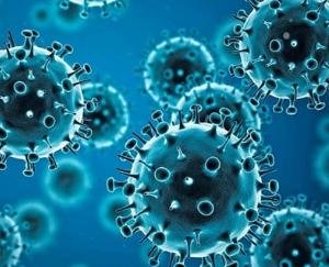 Corona infection continues to wreak havoc in India, so many cases have come to the fore in the last 24