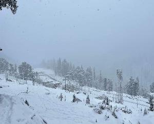 shimla-manali-kullu-lahaul-spiti-atal-tunnel-snow-fall-himachal-pradesh