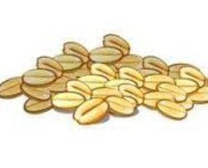 Kangra: One person died after consuming mustard oil mixed with Argemone seeds.