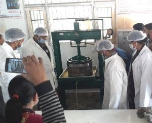 लघु वन उपज के प्रसंस्करण पर कौशल विकास प्रशिक्षण का आयोजन