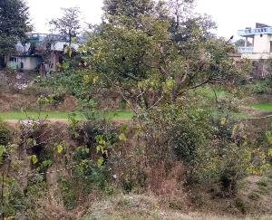 लोगों की समस्या का नहीं हो रहा समाधान, किसी अनहोनी के इंतज़ार में प्रशासन 