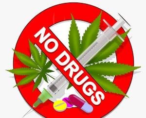 Nupur: Himachal Yuva Shakti Sangathan started campaign against drugs