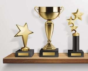 बी एल सेंट्रल स्कूल कुनिहार के 48 बच्चे हिमाचल प्रदेश बोर्ड मेरिट सूचि में विद्यालय में किया सम्मानित