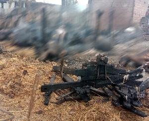 Fire caused by electric short circuit, 24 buffaloes burnt to ashes