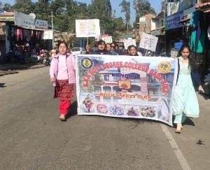 College students made people aware of traffic rules