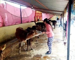 Sarva Ekta Janmanch and Nav Chetna Sanstha jointly celebrated New Year at Gaudham