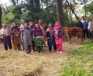 government should make arrangements to send the destitute animals to the shelter-villagers