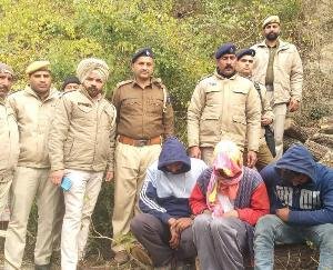 Dehra: In the dark of night in the forest of Jandor, the police and the forest department team got involved in cutting down the trees of Khair.