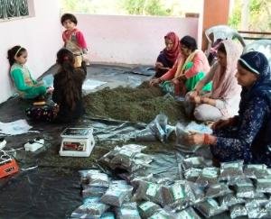 Through 7693 self-help groups in Kangra district, mother power is increasing towards self-reliance.