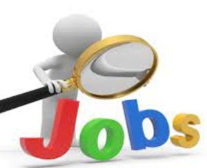 Campus interview for 44 posts on February 23