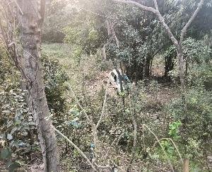 A car fell into a 25 feet deep gorge from the road in Bani, one injured