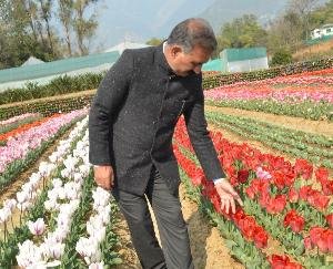 Palampur: The Chief Minister laid the foundation stone of the Kulani-Chandpur-Bharmat-Simbalu Patti road on Wednesday.