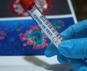 The- speed -of- corona- increased- in -Himachal -Pradesh