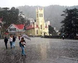 Due to rain in Himachal, the concern of gardeners increased